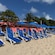 Loungers and umbrellas on the beach at Mollie’s Beach Club